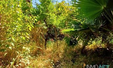 Sitio en Venta en Lo Cañas, La Florida