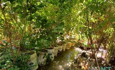 Sitio en Venta en Lo Cañas, La Florida