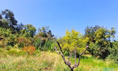 Sitio en Venta en Lo Cañas, La Florida