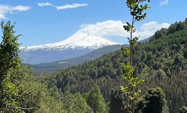 Complejos Turísticos en Venta en TERMAS DE MOLULCO, MELIPEUCO