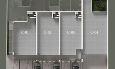 LOCALES COMERCIALES EN VENTA CENTRITO VALLE