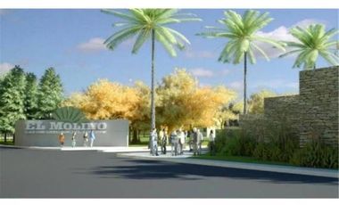 Oportunidad Terreno El Molino