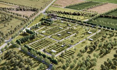 Terreno - General Lagos