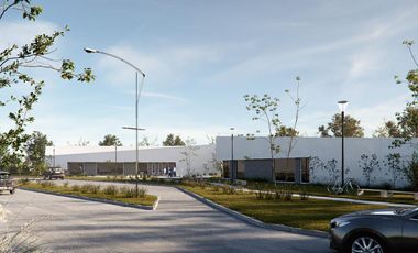 Terreno - General Lagos