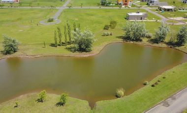 Escucho oferta y propusta de pago - Interno Cruz del sur