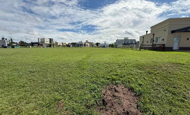 Escucho oferta y propusta de pago - Interno Cruz del sur