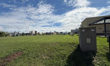 Escucho oferta y propusta de pago - Interno Cruz del sur