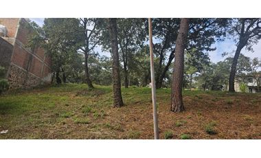 CABAÑA RÚSTICA NUEVA EN VENTA EN MAZAMITLA | VISTA AL BOSQUE