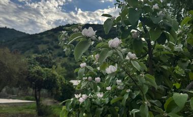 TERRENO GRANDE, PRECIO BAJO, RETORNO ALTO