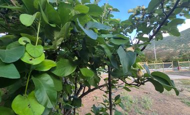 TERRENO GRANDE, PRECIO BAJO, RETORNO ALTO