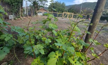 TERRENO GRANDE, PRECIO BAJO, RETORNO ALTO