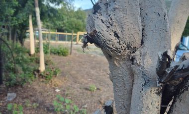 TERRENO GRANDE, PRECIO BAJO, RETORNO ALTO