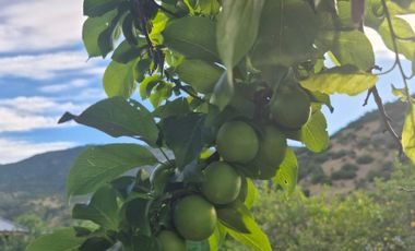 TERRENO GRANDE, PRECIO BAJO, RETORNO ALTO