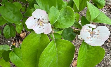 TERRENO GRANDE, PRECIO BAJO, RETORNO ALTO