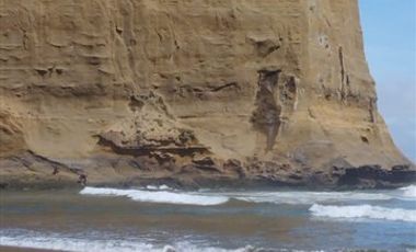 Parcela en Venta en Los Muermos