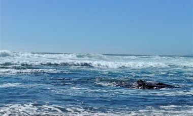 Parcela en Venta en Los Muermos