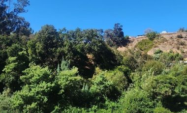 Venta de departamento Valle Los Ingleses