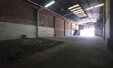 Galpón - Luis Guillon