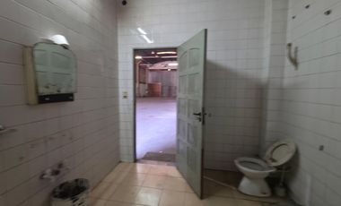 Galpón - Luis Guillon