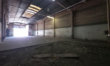 Galpón - Luis Guillon