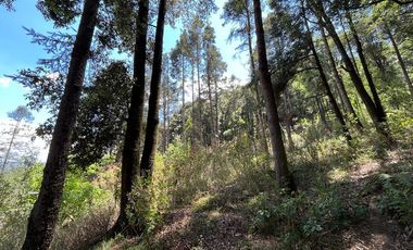 casa en venta jilotzingo