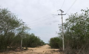 Terreno en Venta en Conkal, Conkal Yucatán