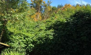 Casa de Ensueño en Bariloche- Peninsula San pedro- Alquiler