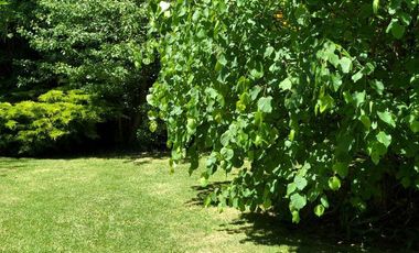 Casa de Ensueño en Bariloche- Peninsula San pedro- Alquiler