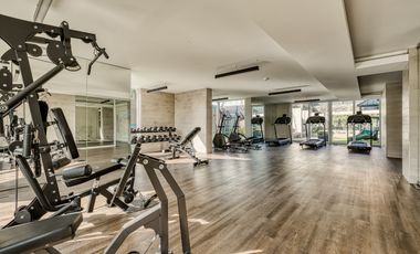 Activa Cerro Blanco [2787-7]