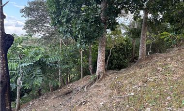 EL COPECITO / SAN CARLOS / 3277 M / BOHIO / 1 HABITACION / BBQ / AG