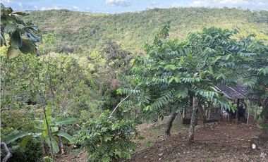 EL COPECITO / SAN CARLOS / 3277 M / BOHIO / 1 HABITACION / BBQ / AG