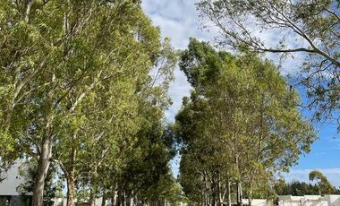 VENTA CASA 4 AMBIENTES MIRALAGOS II