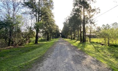 venta, Terreno, Prosperity Land, barrio cerrado, Roldan, arbolado, natural