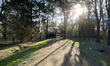venta, Terreno, Prosperity Land, barrio cerrado, Roldan, arbolado, natural