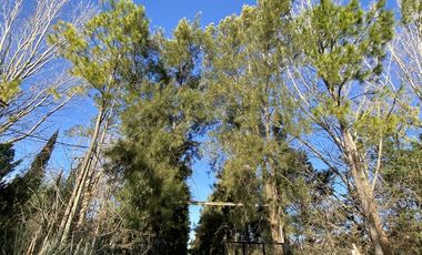 venta, Terreno, Prosperity Land, barrio cerrado, Roldan, arbolado, natural