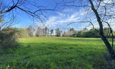 venta, Terreno, Prosperity Land, barrio cerrado, Roldan, arbolado, natural