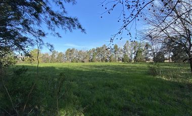 venta, Terreno, Prosperity Land, barrio cerrado, Roldan, arbolado, natural