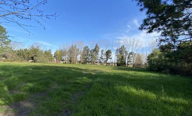 venta, Terreno, Prosperity Land, barrio cerrado, Roldan, arbolado, natural