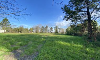 venta, Terreno, Prosperity Land, barrio cerrado, Roldan, arbolado, natural