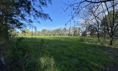 venta, Terreno, Prosperity Land, barrio cerrado, Roldan, arbolado, natural