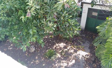 Casa en 2 Plantas con Jardin, Quincho, Garage, Balcon y Terraza - Banfield