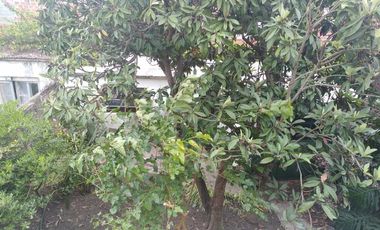 Casa en 2 Plantas con Jardin, Quincho, Garage, Balcon y Terraza - Banfield