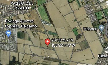 Terreno en Renta en Adolf Horn, Tlajomulco de Zúñiga