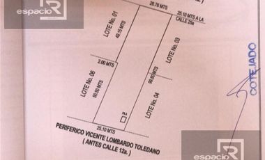TERRENO EN RENTA SOBRE AVENIDA LOMBARDO TOLEDANO