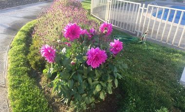 Departamento en Venta en Pedro de Valdivia - Condominio Los Conquistadores III