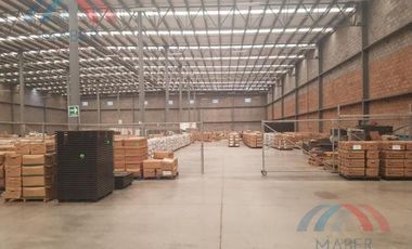 Bodega Industrial - Bachigualato