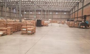 Bodega Industrial - Bachigualato