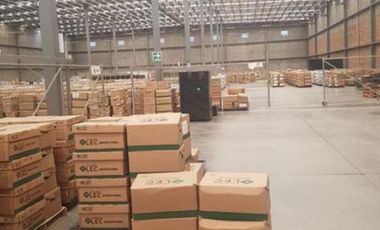 Bodega Industrial - Bachigualato