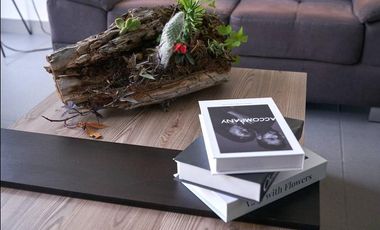 CASA LOMAS PUNTA DEL ESTE marsella LEON RENTA