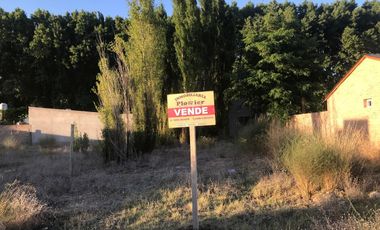 VENTA LOTE PLOTTIER  NEUQUEN 12X30  CAMINO DEL SOL URGENTE IMPUESTOS AL DIA     EXCELENTE INVERSION